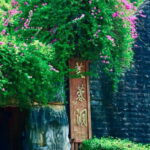 Chongqing Explore Wulong Private Day Tour - The Itinerary and Routes