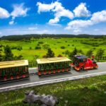 Chongqing: Fairy Mountain Forest Park Ticket - What Makes Fairy Mountain Forest Park Special?