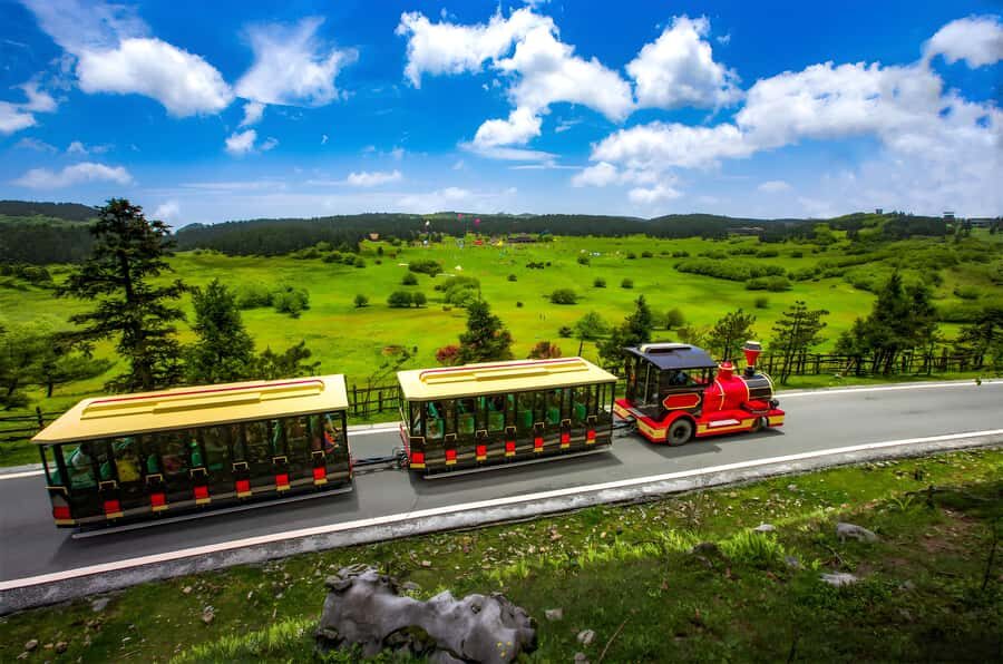 Chongqing: Fairy Mountain Forest Park Ticket - What Makes Fairy Mountain Forest Park Special?