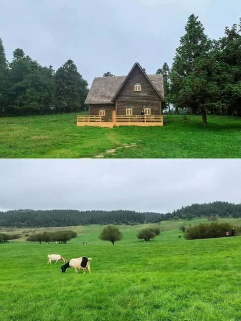 Chongqing: Wulong 2-Day Tour with Boat Cruise - Scenic River Cruise