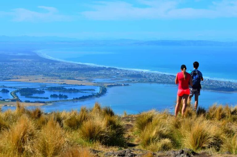 Christchurch: Full or Half-Day Rock Climbing Tour with Guide - The Itinerary in Detail