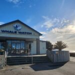 Christchurch: Kaikoura Day Tour with Hotel Pickup - Detailed Breakdown of the Itinerary