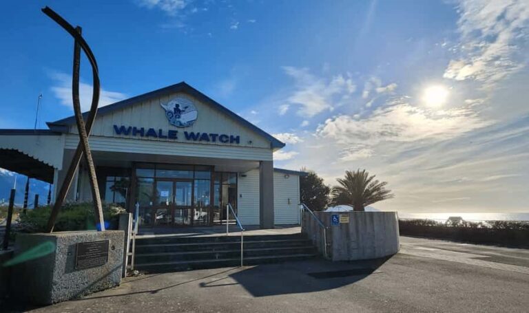 Christchurch: Kaikoura Day Tour with Hotel Pickup - Detailed Breakdown of the Itinerary