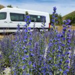 Christchurch to Franz Josef via Hokitika (1 way) - Overview of the Tour Experience