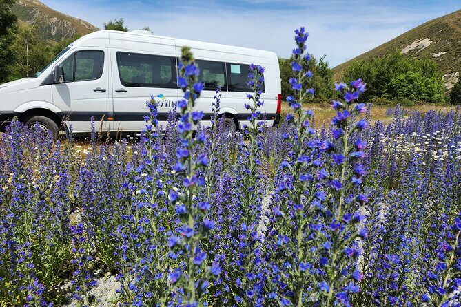 Christchurch to Franz Josef via Hokitika (1 way) - Overview of the Tour Experience