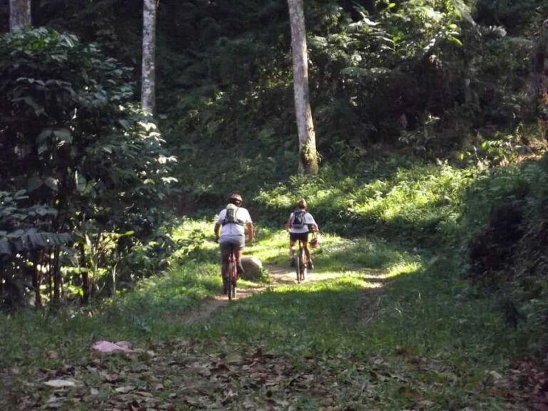 CIanjur : Downhill and Countryside Cianjur Cycling Tour - An Authentic Ride through Cianjur’s Countryside