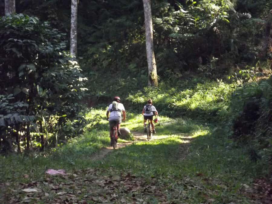 CIanjur : Downhill and Countryside Cianjur Cycling Tour - An Authentic Ride through Cianjur’s Countryside