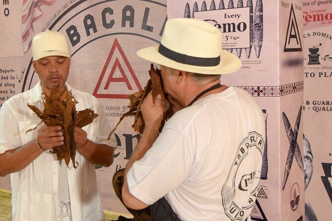 Cigar and Coffee Tasting in Puerto Plata - Who Would Love This Tour?