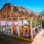 Cigar, Coffee and Mofongo Tour in Dominican Republic - Who Will Love This Tour?