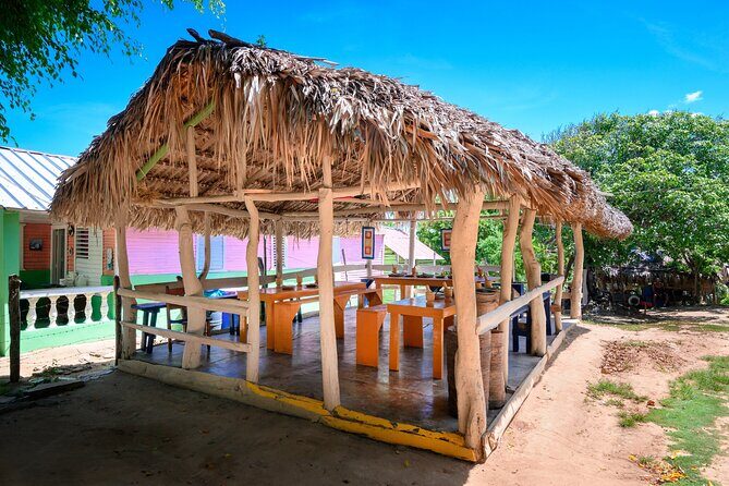 Cigar, Coffee and Mofongo Tour in Dominican Republic - Who Will Love This Tour?