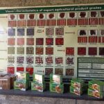 Cinnamon Oil Extraction Tour in Galle - Additional Insights from Reviews