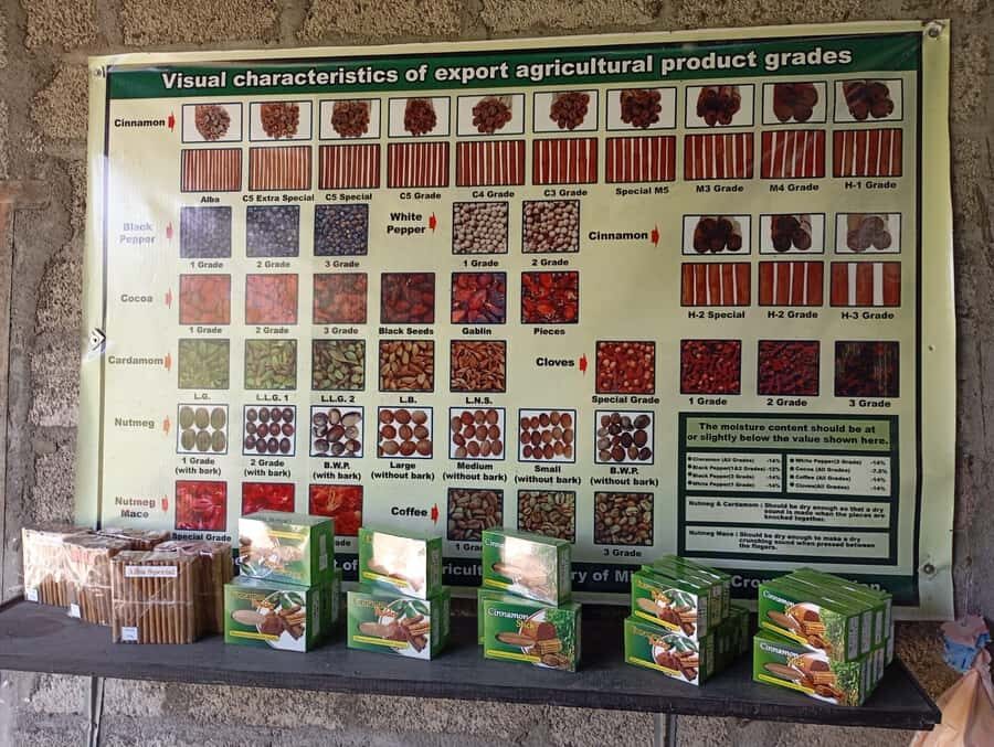 Cinnamon Oil Extraction Tour in Galle - Additional Insights from Reviews