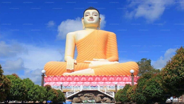 City Tour: Discover Aluthgama with Thrilling Adventures - Transportation & Practical Details