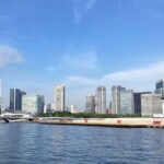 Clean and Walk with Local Guide in Tsukiji Ginza - What to Expect: A Genuine Balance of Sightseeing and Community