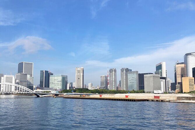 Clean and Walk with Local Guide in Tsukiji Ginza - What to Expect: A Genuine Balance of Sightseeing and Community