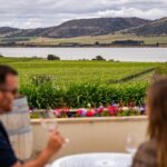 Coal River Wine Hopper - Authentic Insights from Tour Reviewers