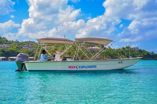 Coastal Cruise to Turners Beach Experience - The Experience on the Water