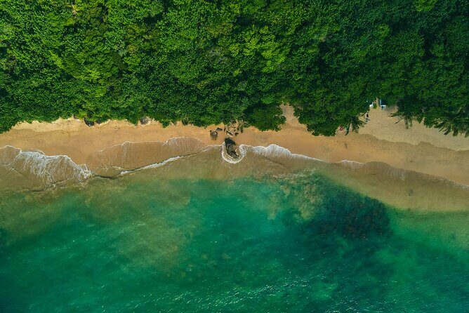 Coastal Escape Coach Tour Bentota Unawatuna and Hiriketiya - What We Learned from the Reviews