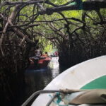 Coastal Ride to Galle from Negombo - Why This Tour Works