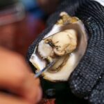 Coffin Bay Tour with Oyster Shucking and Off Road Adventure - Practical Details: What You Need to Know