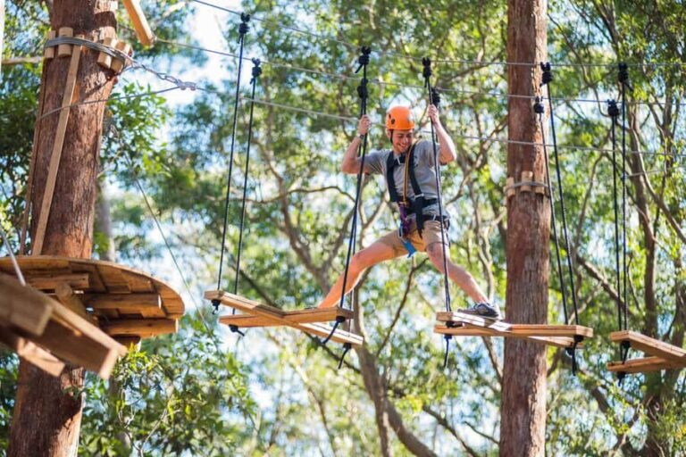 Coffs Harbour: Treetops Adventure Tree Ropes Course - The Practicalities: Booking, Duration, and What to Bring