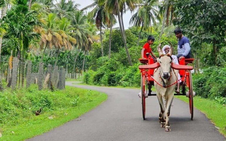 Coimbatore to Coconut Village Day Tour Nature & Culture - Warm Welcome and Orientation