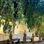 Colombo City Tour with Guide, Entry Tickets & Hotel Pickup - Walking Through Colombo’s Vibrant Markets and Colonial Charm