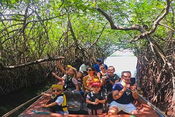 Colombo Day Trip: Galle Fort, Madu River Safari & Turtle Hatchery - Who Will Love This Tour?