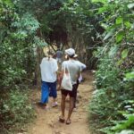 Colombo: Digana Waterfall Swim & Village Walk & Tea Factory - Who Will Love This Tour?