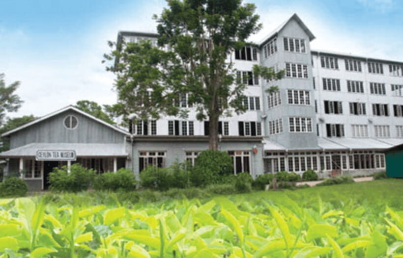 Colombo: Kandy Day Trip with Pinnawala Elephant Orphanage - Practical Aspects of the Tour