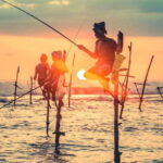 Colombo/ Negombo : Galle Fort & Bentota Beach Day Tour - The Value and Practicalities