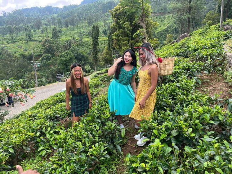 Colombo: Nuwara Eliya: Tea Gardens,Colonial Charm & High Tea - Exploring Nuwara Eliya’s Tea Estates  