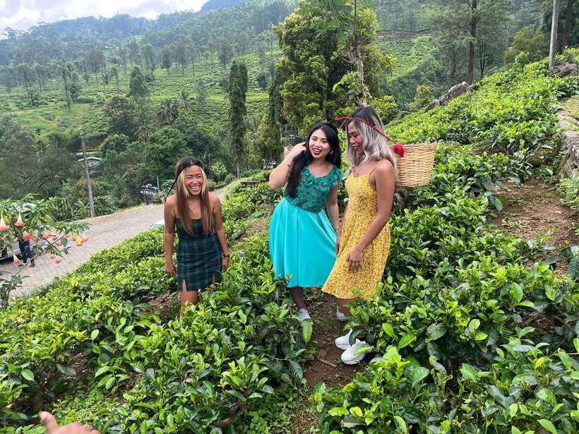 Colombo: Nuwara Eliya: Tea Gardens,Colonial Charm & High Tea - Exploring Nuwara Eliya’s Tea Estates  