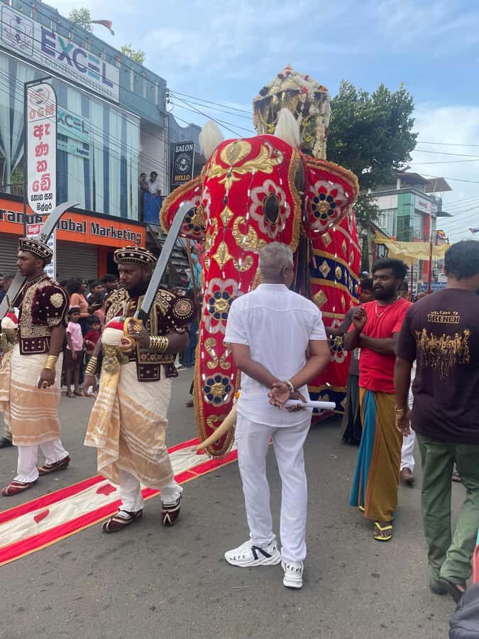 Colombo: Private guide City Tour TUk ( all-inclusive ) - Who Would Love This Tour?