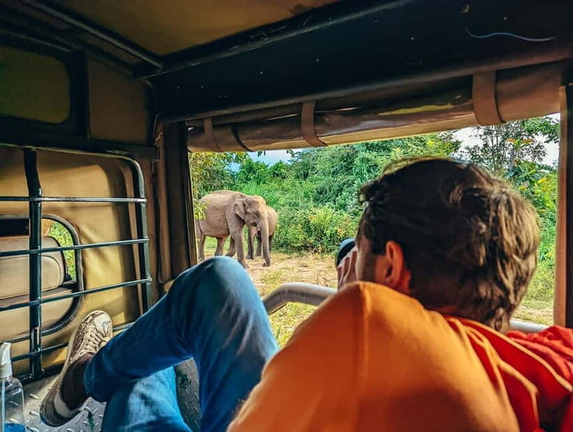 Colombo: Sigiriya Rock, Dambulla & Jeep Safari All Inclusive - Detailed Breakdown of the Tour Experience