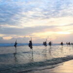 Colombo to Galle All Inclusive Private Day Tour - Who Should Book This Tour?