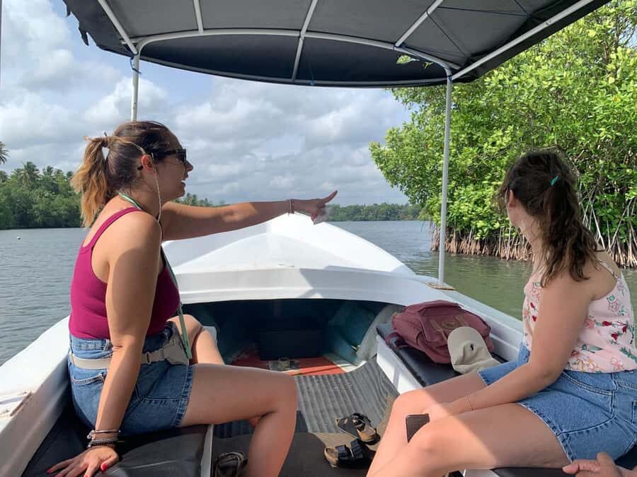 Colombo to Galle Day Tour with Tea Factory & Cinnamon Island - A Deep Dive into the Tour Experience