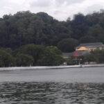 Colombo to Kandy Private Day Tour - What Travelers Say