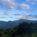 Colombo To Maskeliya & Waterfalls Day Trip - Who Will Enjoy This Tour?