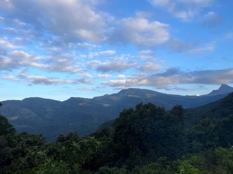 Colombo To Maskeliya & Waterfalls Day Trip - Who Will Enjoy This Tour?