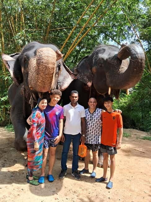 Colombo To Pinnawala & Kandy Luxury Day Tour by Car/Van/Bus - The Practical Details: How It All Comes Together