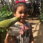 Colorful Species Of Birds - Who Is This Tour Best For?