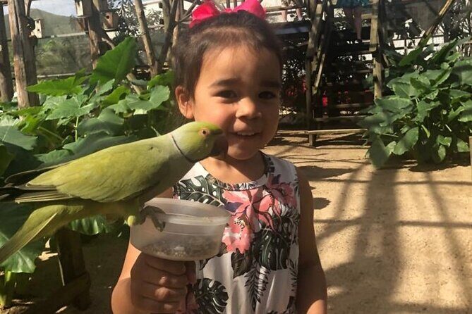 Colorful Species Of Birds - Who Is This Tour Best For?