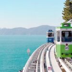 Colors of Busan: Sky Capsule, Jagalchi Market & Night Views - Authentic Experiences and Practical Tips