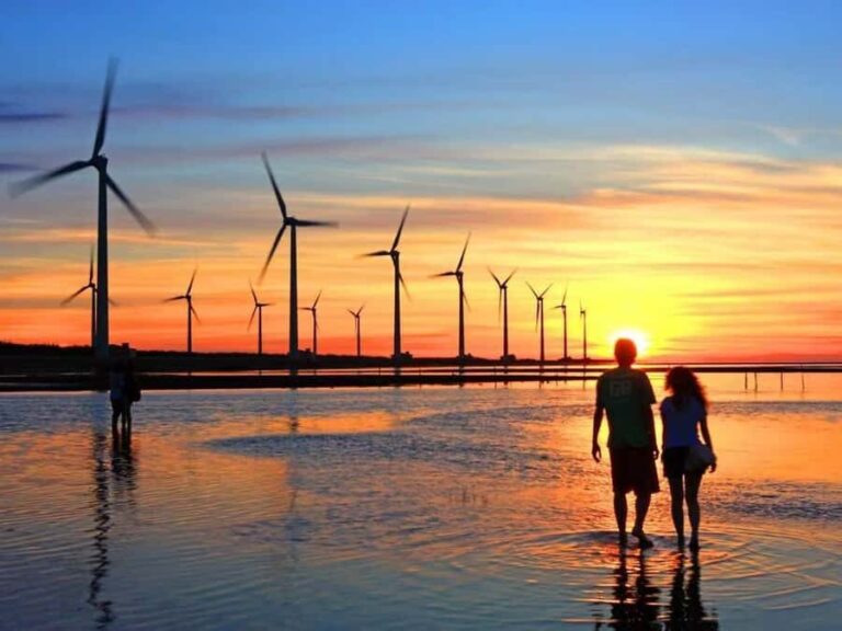 Colors of the City: Discovering Taichungs Art and Charm - Sweet Moments at Miyahara