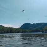 Combo Langkawi Cable Car & Sky Bridge With Mangrove Private Boat - Overall Experience & Practicalities