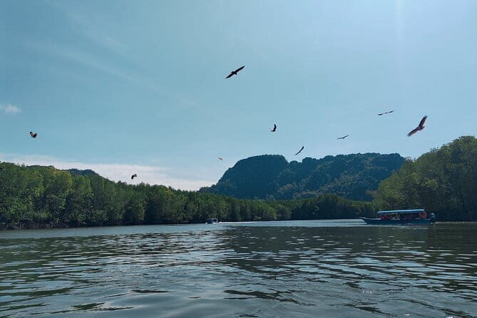 Combo Langkawi Cable Car & Sky Bridge With Mangrove Private Boat - Overall Experience & Practicalities