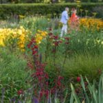 Como House: Guided Garden Tour - Exploring the Gardens of Como House: A Deep Dive