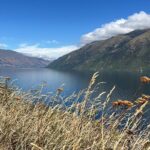 Convertible Picnic Tour Queenstown - Breaking Down the Itinerary