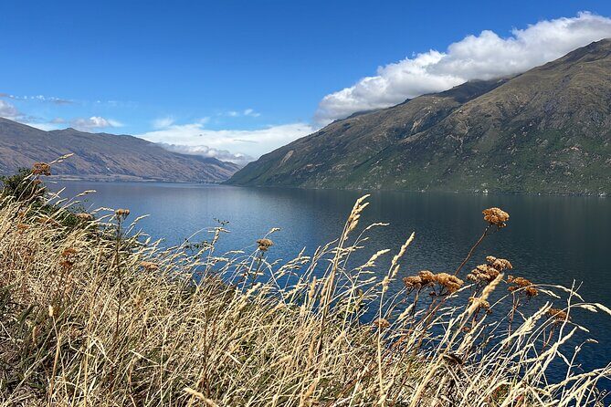 Convertible Picnic Tour Queenstown - Breaking Down the Itinerary